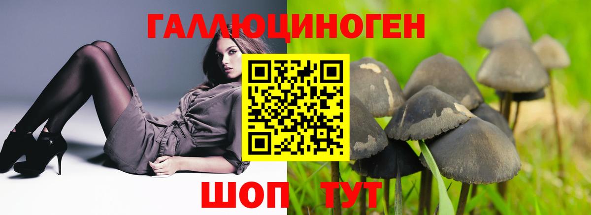 Галлюциногенные грибы ЛСД  Псилоцибиновые грибы Psilocybine cubensis  Вход с VPN  Биробиджан 